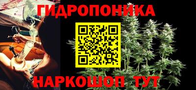 шишки Пыть-Ях